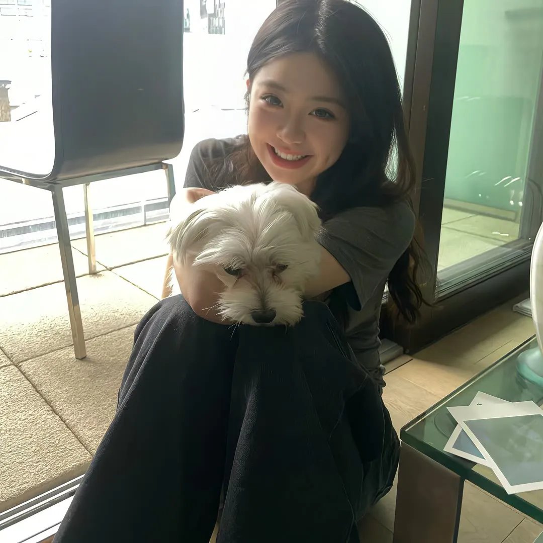 河东师情