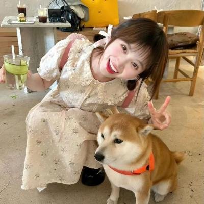 我的朋友们